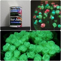 Glow in the dark paint Noxton for Flowers